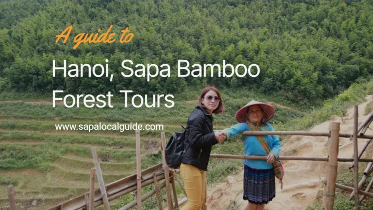 Hanoi to Sapa Bamboo Forest Trekking