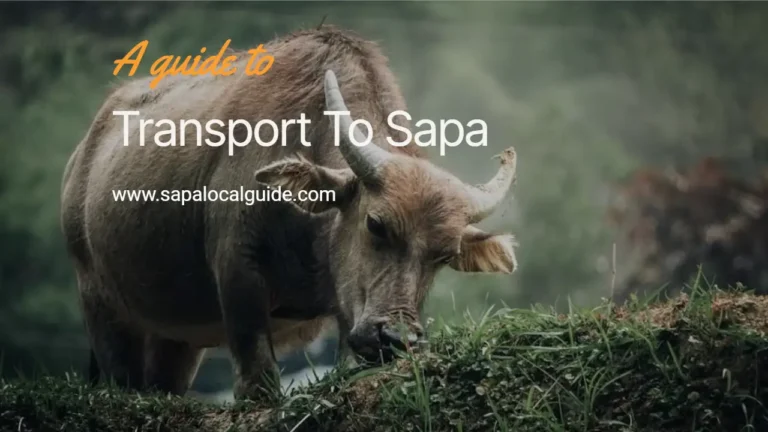 transport to Sapa